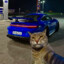 pussy