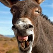 草原上套汉子的野驴