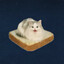 The cat on the bread