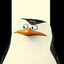 Skipper