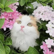 开始我们的约会吧