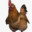 Inferno chicken