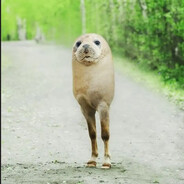 Shoxlby