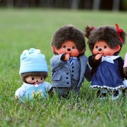 抱着嫦娥烤玉兔丶