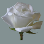 火火火火火火火火