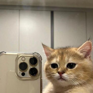 EZ4Meow