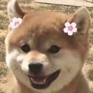 一个很酷的男孩