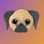 Pug [rVdV]