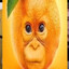 gerjen goomber