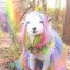 FUCKER GOAT
