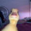Maksim