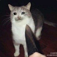 流泪猫猫头