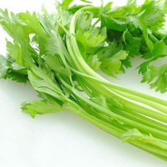 芹阿菜Celery Qin