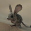 Maud'dib's avatar