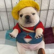 Gooneer - steam id 76561199500477196