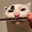 Kitya420