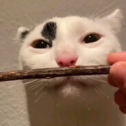 Kitya420