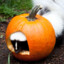 Pumpkin Skunk