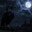 MidnightRaven