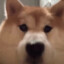 Mr.迪克