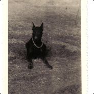 SemteX.GaminG | LowMax=>