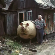 Судебный пристав