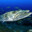 Barracuda