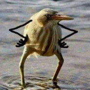 Колёс - шикардос