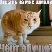 ♡насвай♡