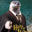 Harry Otter