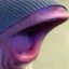 Dingus