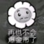 大鹦鹉爱洗碗