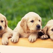 也许咱己太执著