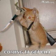FragShoW