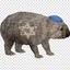 Shalom the S-Wombat