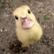 cembo - steam id 76561198437631817