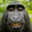 Blobby4356 avatar