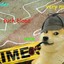 Inspector Doge