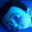 GurraSnurra360