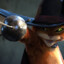 CAT in HAT