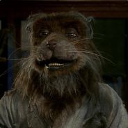 Spao - steam id 76561197960958838