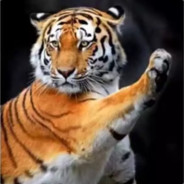 活命主义掷弹兵