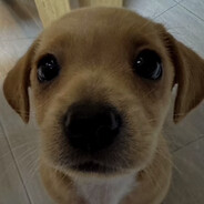 depre??ed? yapizdaliz ♡