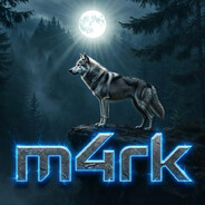 dvmarkdv