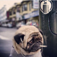 Make Naga Great Again