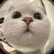 无敌大厨懒羊羊大王