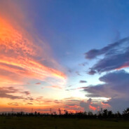 夕春丿不抵心寒冷
