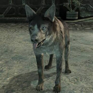 Dogmeat