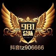 981渝A、无敌 {总  队}