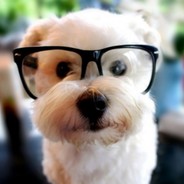 山药成为RapStar吗